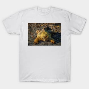 Galapagos Land Iguana, Galapagos Islands T-Shirt